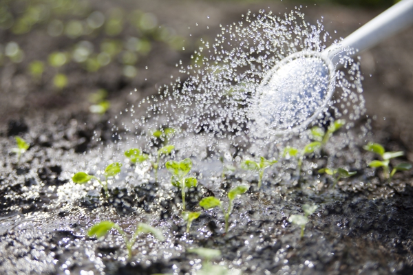 Zisterne Wasser für den Garten